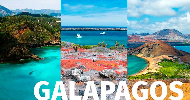 Desde julio, las Islas Galápagos también reactivan las visitas