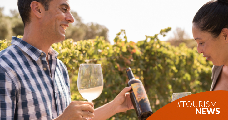 dia-mundial-del-enoturismo-alguna-vez-visitaste-un-vinedo-para-aprender-como-cada-botella-de-vino-cuenta-una-historia-unica