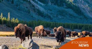 Día Internacional de los parques nacionales, refugios para la conservación de la biodiversidad