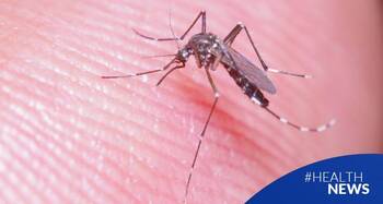 El dengue, una enfermedad regional que ha adquirido relevancia mundial en los últimos tiempos