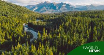 21 de Marzo: Día Internacional de los Bosques: el poder de los bosques: tradicionales, invisibles y transformados por la tecnología