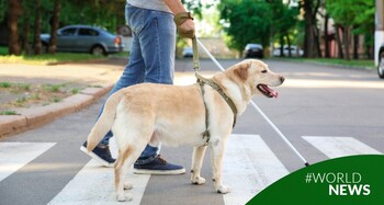 Día Internacional del perro: cuando decimos que el perro es el mejor amigo del hombre, no estamos exagerando