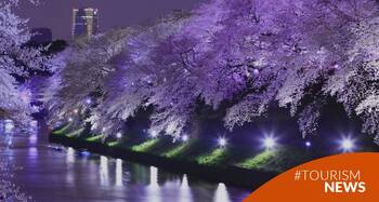 Comienza el Hanami (花見) en Japón: la celebración que simboliza la transitoriedad de la vida y la belleza fugaz