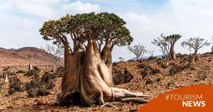 un-ecosistema-unico-en-el-mundo-donde-la-naturaleza-aun-reina-sin-la-interferencia-del-hombre