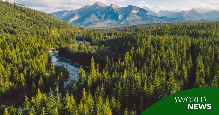 march-21st-international-day-of-forests-the-power-of-forests-traditional,-invisible,-and-transformed-by-technology