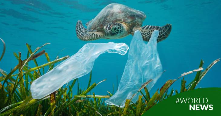 microplasticos-una-de-las-formas-mas-omnipresentes-de-contaminacion-en-el-mundo