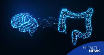 ¿Por qué se dice que el intestino es nuestro segundo cerebro?