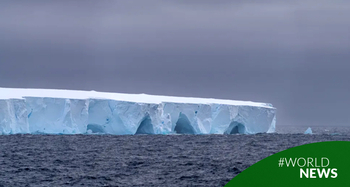 El iceberg más grande del mundo continúa su recorrido y estudian cómo afecta las zonas por las que pasa