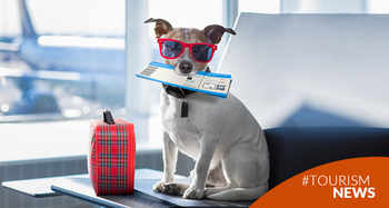 La maravillosa experiencia de viajar con tu mascota