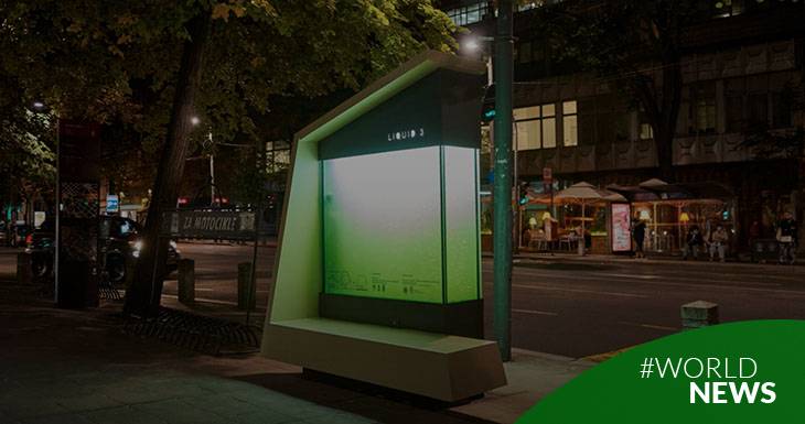 biorreactor-urbano-el-curioso-arbol-liquido-para-oxigenar-la-ciudad